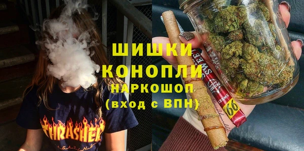 ГАЛЛЮЦИНОГЕННЫЕ ГРИБЫ Аркадак