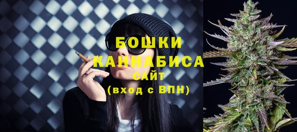 ГАЛЛЮЦИНОГЕННЫЕ ГРИБЫ Аркадак