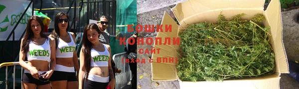 ГАЛЛЮЦИНОГЕННЫЕ ГРИБЫ Аркадак