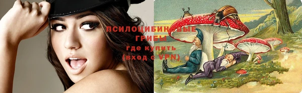 соль курить ск Арсеньев