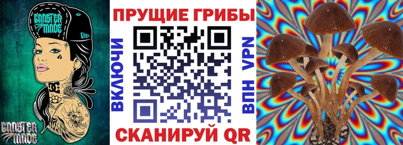 Галлюциногенные грибы мицелий  Белорецк 